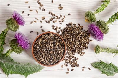 The Surprising Benefits of Milk Thistle as a Supplement