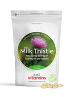 Milk Thistle 100mg main product image