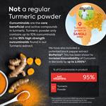 Turmeric with BioPerine® (Black Pepper Extract)