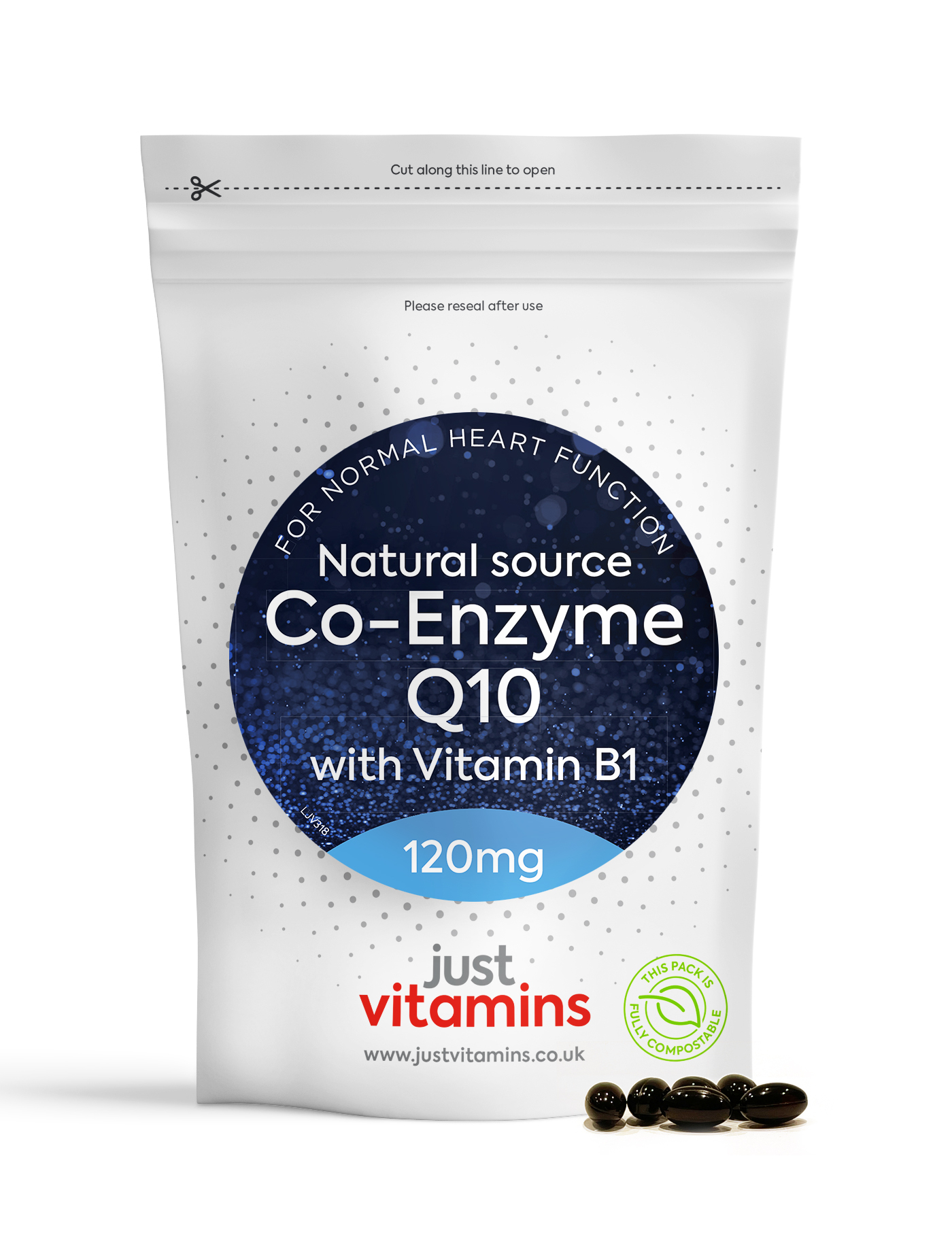 Co-Enzyme Q10 120mg - 90 Capsules